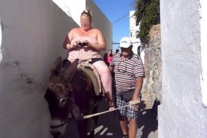 Fouettés, blessés, surexploités…le calvaire des ânes de l’île de Santorin 