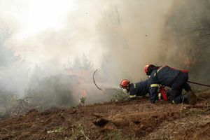 Des pompiers sur l'île d'Eubée.