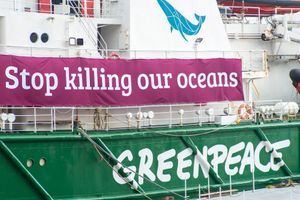 L'Esperanza de Greenpeace.