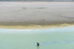 Les images terribles de la mort du lac Puzhal en Inde