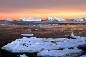 Le taux de CO2 dans l’atmosphère au Pôle Sud a bondi de 3,05 ppm tout au long de l’année dernière