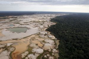 Une zone de la forêt amazonienne transformée en désert en toute illégalité par des entreprises minières. 