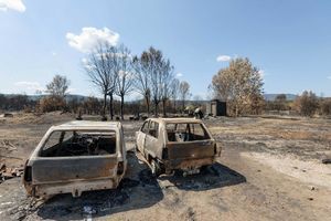 Var: après l'incendie, un paysage de désolation
