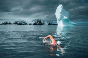 Lewis Pugh dans les eaux glaciales de l'Antarctique 
