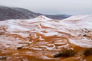 Pour la première fois depuis 37 ans, il a neigé au Sahara
