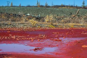 La rivière Daldykan a tourné au rouge