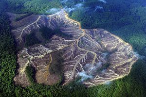Vue aérienne de montagnes de la province de Jambi à Sumatra, autrefois boisées.