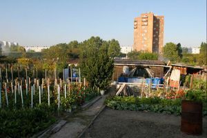 Les jardins ouvriers d'Aubervilliers. 
