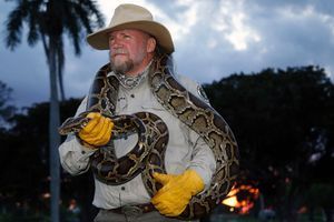 Ces patrouilles qui traquent les pythons la nuit en Floride