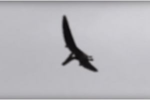 Une image tirée de la prétendue vidéo du ptéranodon filmé dans l'Idaho.