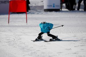 Près de Pyeongchang, les robots aussi ont leur compétition de ski