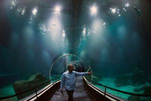 A l’intérieur d’"AquaRio", le plus grand aquarium d’Amérique du Sud