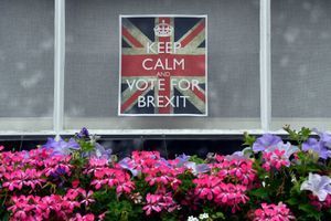 Les partisans du Brexit affichent leur vote sur les fenêtres de Londres