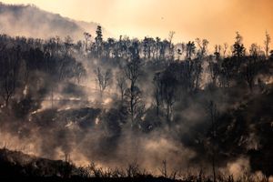 De violents incendies détruisent plus de 700 hectares au Maroc