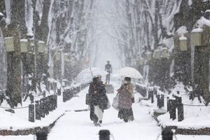 En images : Le Japon sous un épais manteau de neige