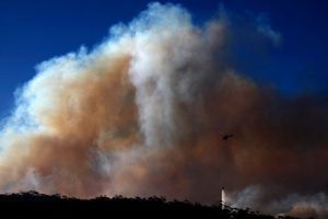 L’Australie dévastée par les flammes 