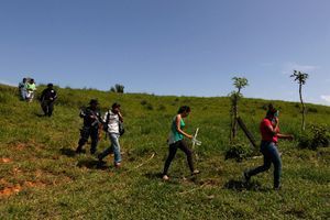 Le retour au pays des mineurs clandestins du Honduras