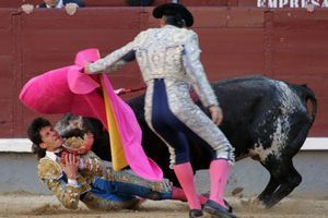 En pleine corrida, un taureau encorne un matador au cou