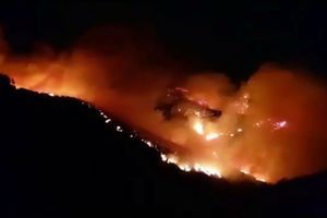 Environ un millier d'hectares ont été brûlés par un incendie toujours hors de contrôle dimanche sur l'île espagnole touristique de Grande Canarie.