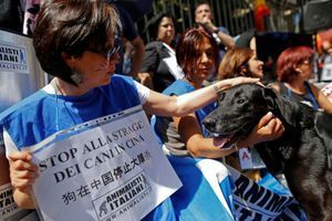 Des activistes manifestant contre le festival de viande de chien de Yulin en juin 2016, en Italie. 