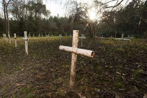  Trente-et-une croix ont été installées sur le terrain de l'école dans le passé. 