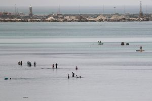 Pêche à Gaza, le 23 mai 2019.