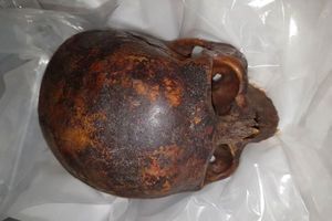 Le crâne d'un croisé momifié a été retrouvé. 