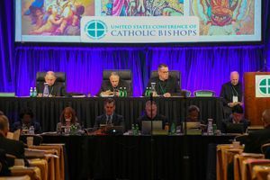 Lors de la Conférence des évêques américains à Baltimore, en novembre 2018.