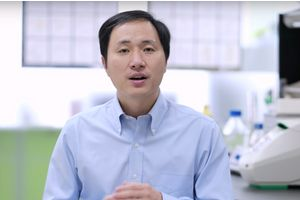 He Jiankui annonce, dans une vidéo sur YouTube, que deux bébés génétiquement modifiés sont nés en Chine.