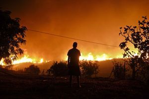 Portugal : Dans l'Algarve, les pompiers domptent les flammes