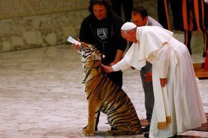Quand le pape effraie un tigre et vice-versa