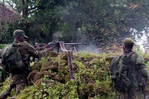 L'armée congolaise a mené une vaste offensive dans le nord-Kivu.
