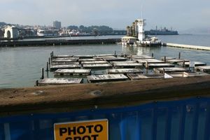 Le Pier 39 est une destination prisée des touristes à San Francisco (image d'illustration).