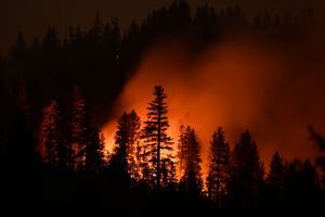 Un feu de forêt hors de contrôle ravage la Californie