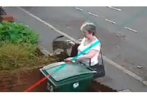 Une Anglaise jette un chat vivant dans une poubelle