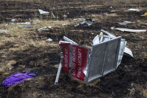 Le crash du vol MH17. 