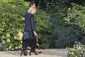 Brigitte Macron, ici en août 2017, promène Nemo dans les jardins de l'Elysée, en compagnie de Pierre-Olivier Costa, son directeur de cabinet. 