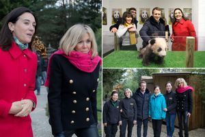 Le zoo de Beauval a partagé sur les réseaux sociaux des images de la visite d'Emmanuel et Brigitte Macron