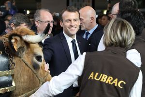 Emmanuel Macron auprès des agriculteurs à son premier Salon de l'agriculture 