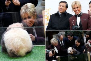 En images, Brigitte Macron a baptisé le bébé panda de Beauval
