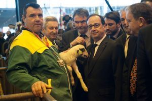 François Hollande a respecté la tradition de la visite présidentielle lors du Salon de l'Agriculture.
