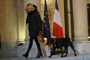 Brigitte Macron promène Nemo à l'Elysée, en novembre dernier. 