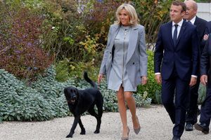Fin septembre, à l'Elysée, Emmanuel et Brigitte Macron et leur chien Nemo. 