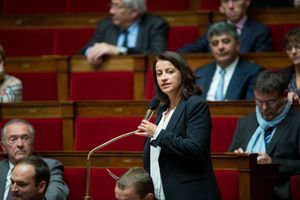 Cécile Duflot à l'Assemblée nationale en novembre dernier.