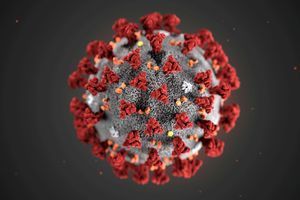 Le Coronavirus 2019-nCoV modelisé.