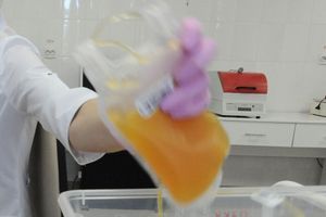 Le plasma de patients guéris, du sang débarrassé de ses globules rouges et blancs et riche en anticorps, offre des pistes pour un traitement prometteur contre le virus. 