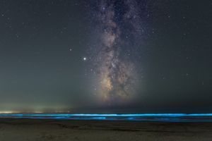 En Californie, le spectacle de la bioluminescence
