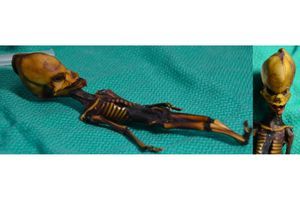Le squelette de l’Atacama.