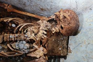 Une momie avec des cheveux découverte à Pompéi