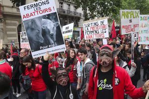 A Paris, ils marchent pour la fermeture des abattoirs